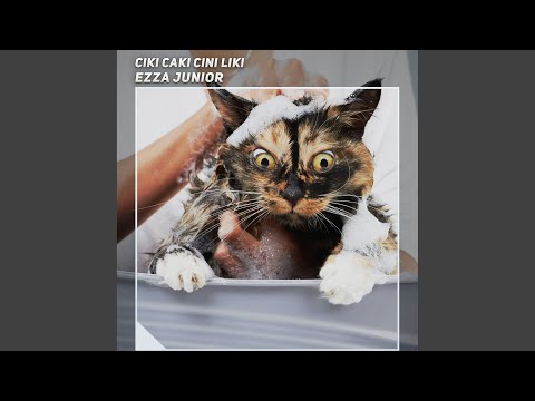 Misscall Diskotik Area