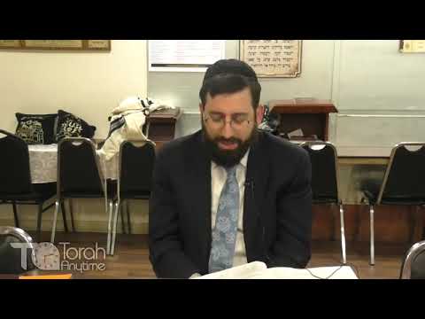 Parshas Bereishis: The Animals Are Missing! The Netziv Cites The Explanation of the Gr"a