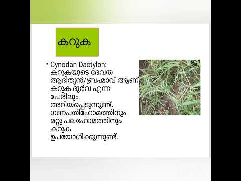 | Digital Album | Dashapushpangal | Aparna B Jayan | Natural Science Optional | 2021-23 batch |