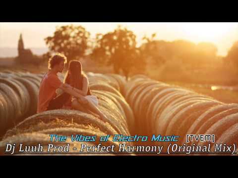 Dj Luuh Prod - Perfect Harmony (Original Mix)