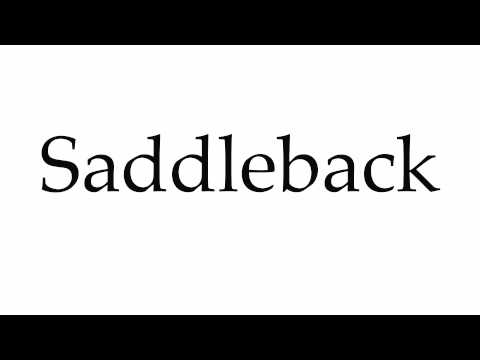 How to Pronounce Saddleback
