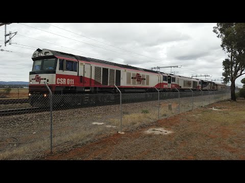 CSR011 + CSR004 + SCT014