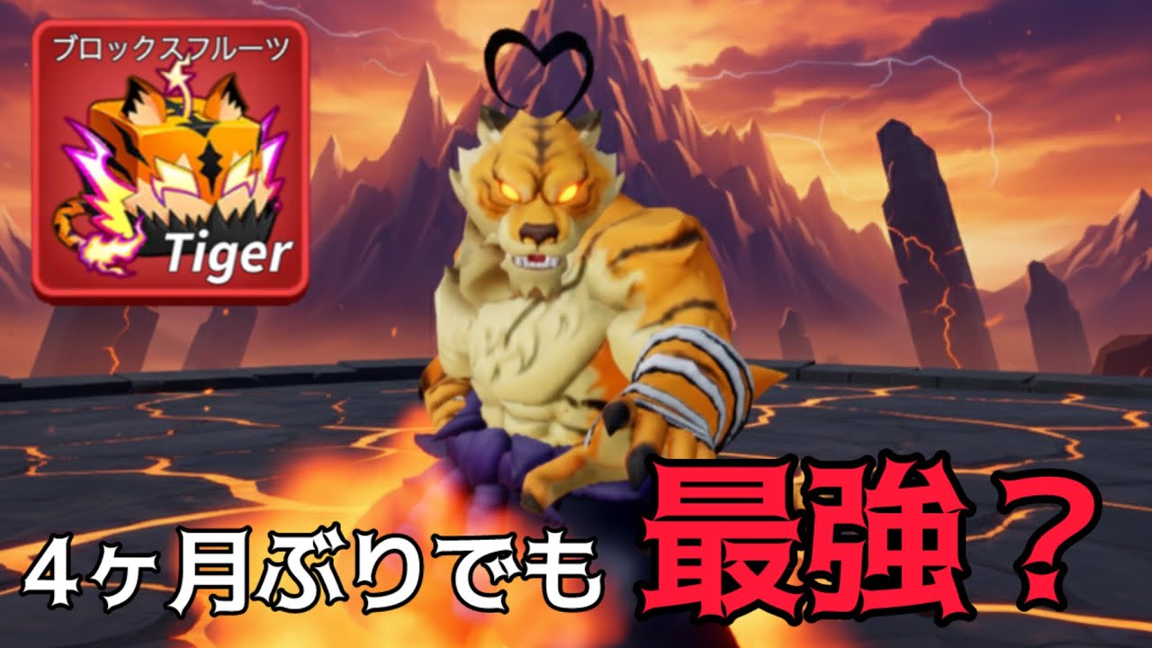 【blox fruits】タイガーフルーツって誰が使っても最強やろww【ロブロックス】【ブロックスフルーツ】