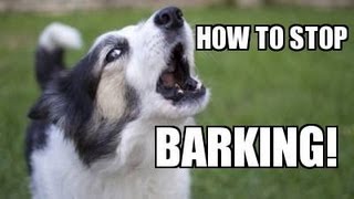 How to TEACH ANY DOG to STOP BARKING Humanely, Effectively, and Naturally!