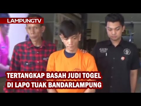 Tertangkap Basah Judi Togel di Lapo Tuak Bandarlampung