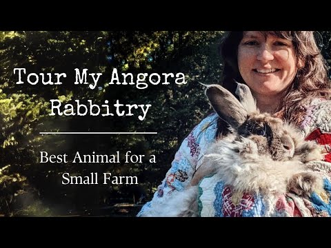 Best Animal for Small Fiber Farm: Tour My Angora Rabbitry