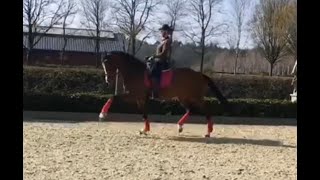 Sélection allemande du Championnat du Monde des 6 ans