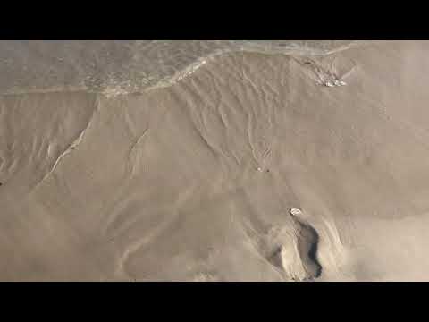 Healing Rituals at the Beach