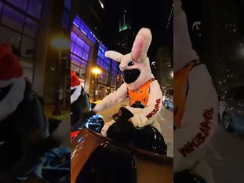 Finally restocked bunny helmet covers! Clip by @ink3dpool #shorts