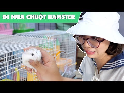 Chị Thơ Đi Mua Chuột Hamster