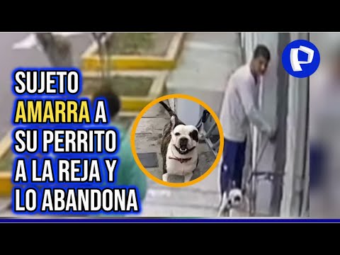 ¡Indignante! Sujeto abandona a su perrito en San Miguel: Lo amarró afuera de una veterinaria