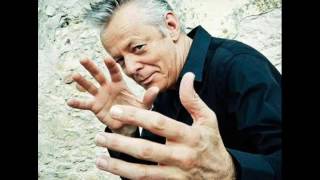 The Bug Tommy Emmanuel cover Lyrics Tim Dalton tdal007