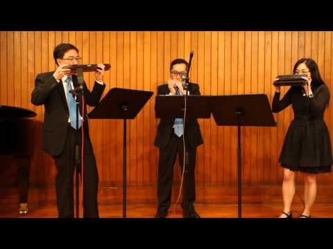 Die Lebenslustige Hora - Harmonica Trio