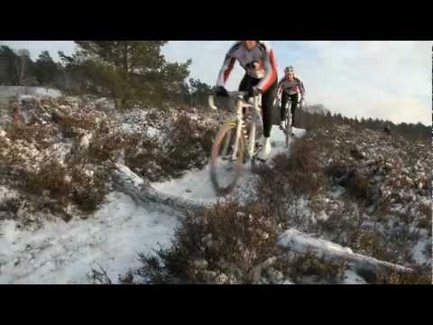 STEVENS Cyclocross: Der Sprung