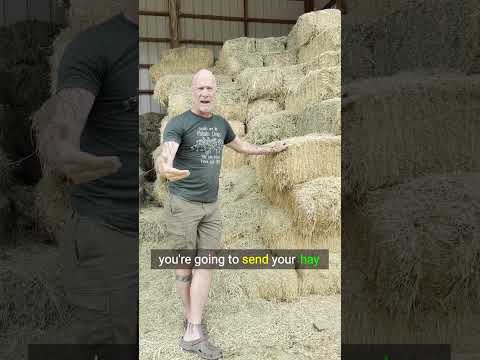 Unlock the Secrets to Perfect Goat Nutrition!