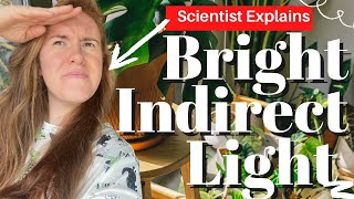 Bright Indirect Light For Plants Explained. What Is Bright Indirect Light For Houseplants?