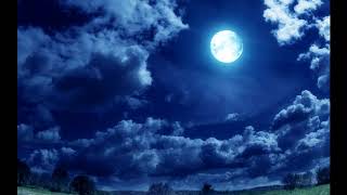 Rie Fu - Tsukiakari (pt-BR+JP lyrics) Darker Than black SS1 Ending