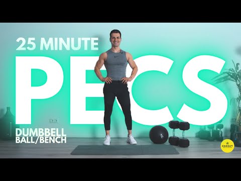 INSANE CHEST Workout With DUMBBELLS | Follow Along