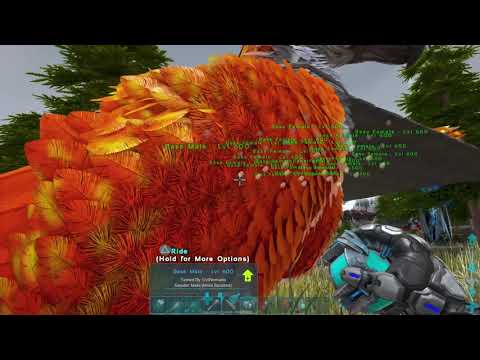 Project Breeding: X-Argy