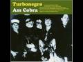 Turbonegro - A Dazzling Display Of Talent