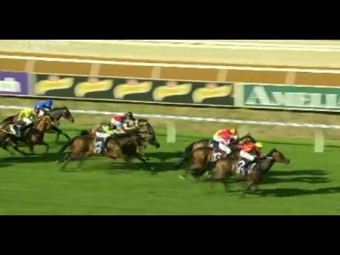 2018 WATC Winterbottom Stakes