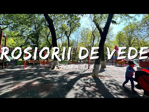 Rosiorii de Vede | Romania | May 2023