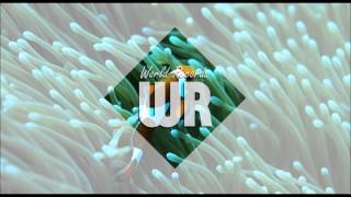 General Pecos - Love Me So Bad (1997)