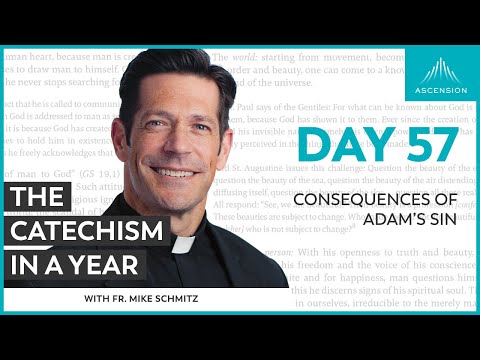 Day 57: Consequences of Adam’s Sin — The Catechism in a Year (with Fr. Mike Schmitz)