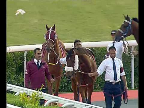 14th Race Meeting of Season 2016 / 2017