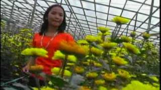 Download lagu ADIK WANI BERSAMA KU mp3