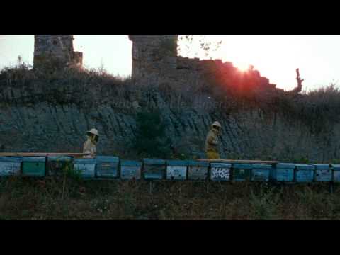 Les Merveilles - Bande Annonce VOST