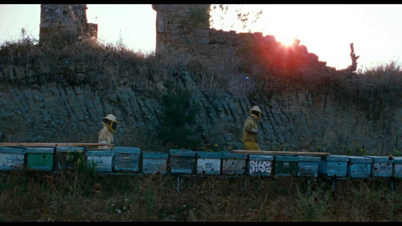 Miniature de la vidéo Les Merveilles - Bande Annonce VOST du film Les merveilles