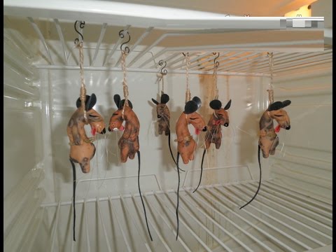 класные приспособления для кухни \ Elektronomia - Limitless