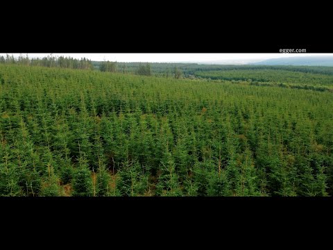 EGGER Forestry