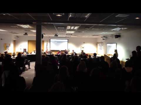 Isabella's speech at the D300 Board Meeting