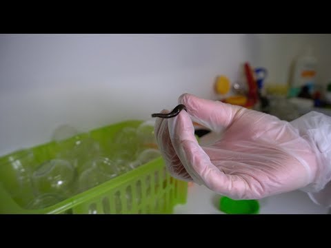 Die Continentale - Cristina Caruana: Praxis für Naturheilkunde & ganzheitliche Medizin