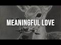 Silo, Steven Cranberry, coye「meaningful love」[Lyrics]