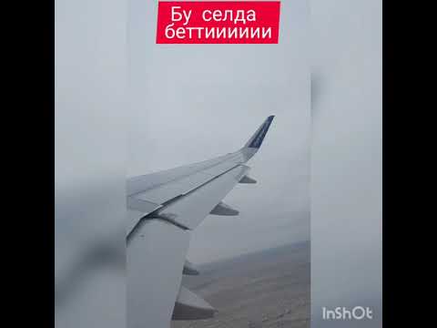 Argonya ft Aikyn - шын айтам