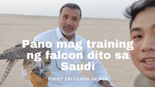Paano mag train ng falcon sa Saudi Arabia/ How to train a falcon in Saudi Arabia