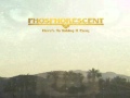 Phosphorescent Tell Me Baby Have You Had Enough