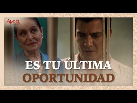 Imagen predeterminada