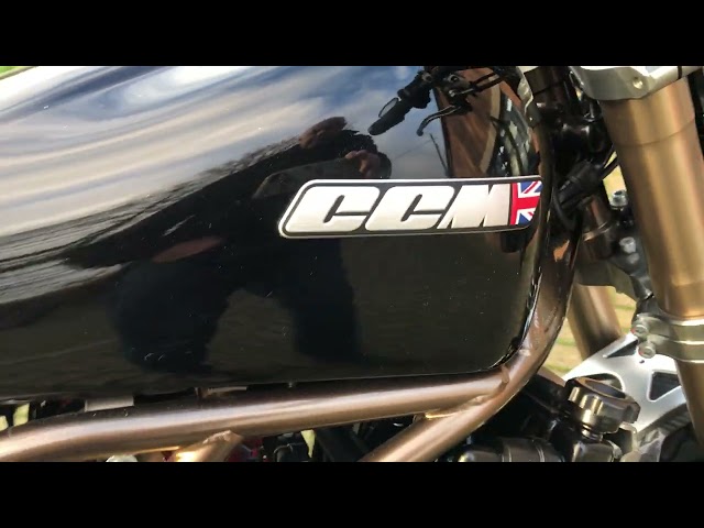 SPITFIRE FOGGY EDITION