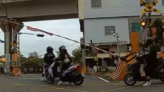 年少輕狂（檢舉成功）