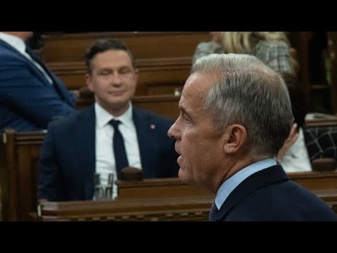 LILLEY UNLEASHED Food inflation a hard nut for Carney to crack