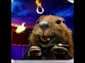 At The Beaver Brother S Circus