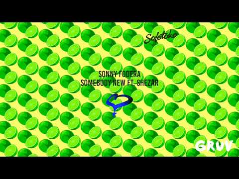 Sonny Fodera - Somebody New ft. ShezAr