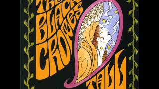The Black Crowes - Feathers
