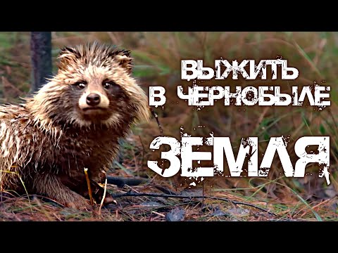 Зона отчуждения. Выжить в Чернобыле