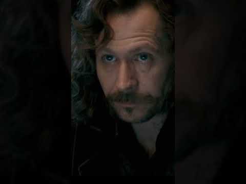 Sirius Black: Historia, legado y curiosidades del padrino más rebelde de Harry Potter