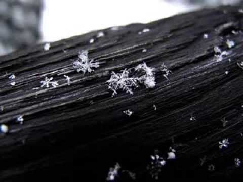 Prymaki - Biely Snieh